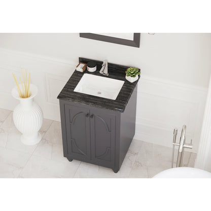 Laviva Odyssey 24" Vanity - 313613-24G