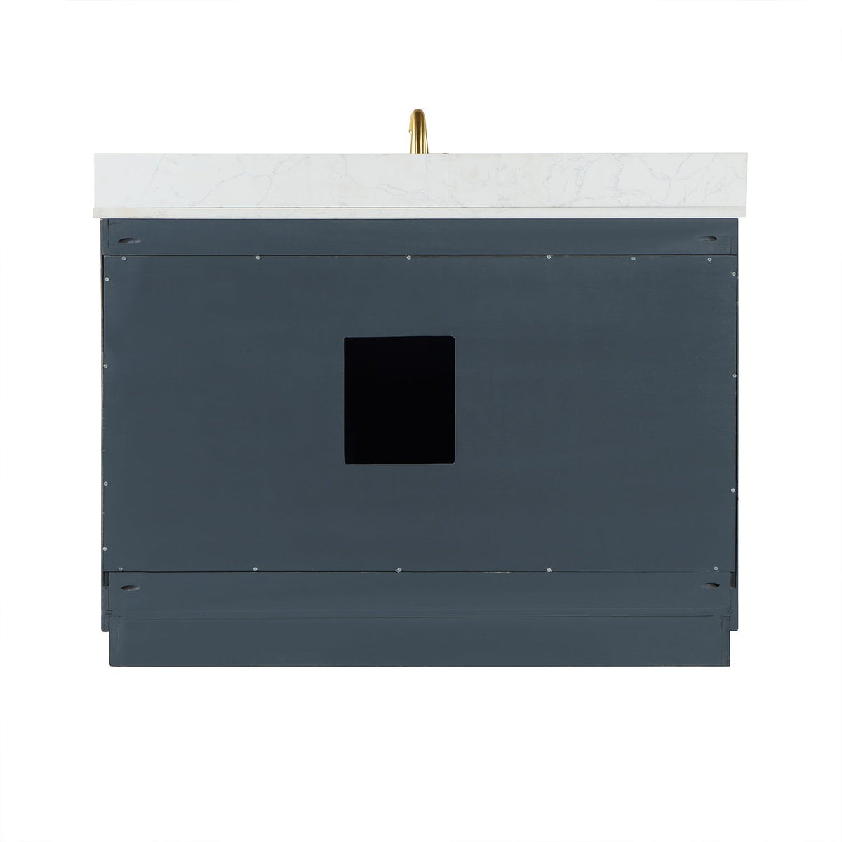 Altair Designs Gazsi 48" single vanity with top - 543048-BN-GW-NM