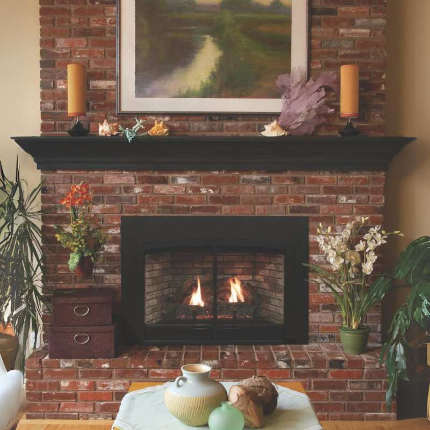 Empire Innsbrook Small Clean Face Direct Vent Gas Insert | DVC20IN - DVC20IN31N