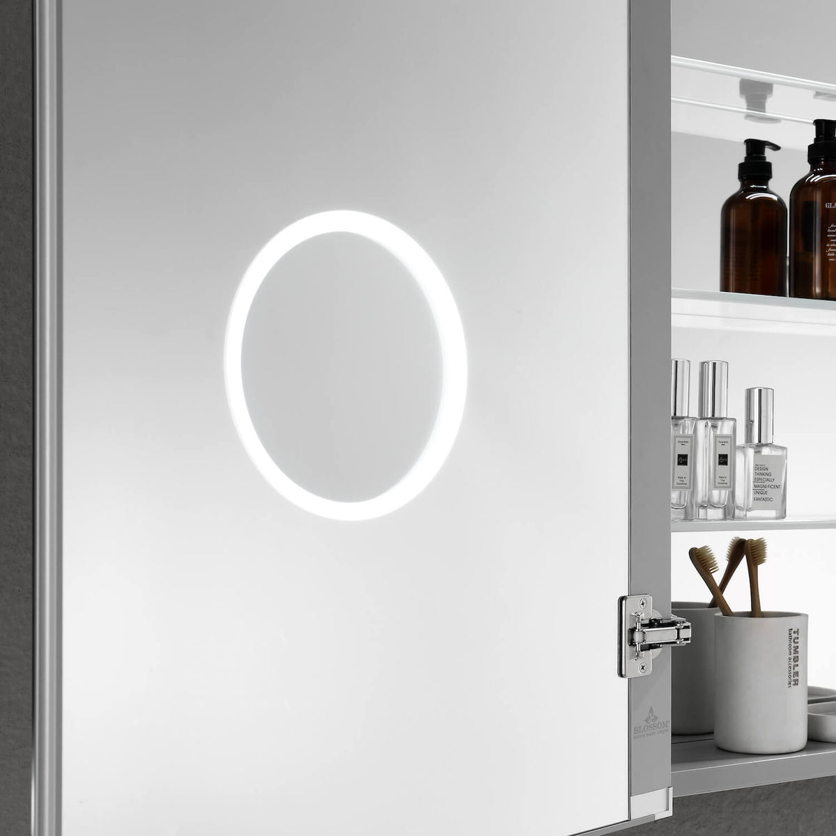 Blossom Asta – 20 Inches LED Medicine Cabinet - MCL2 2032L