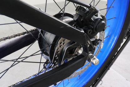 Pedego Ridge Rider - LBL46