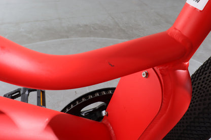 Pedego Element - LBN01