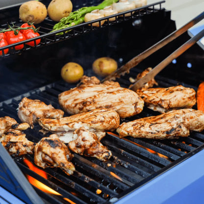 Monument Grills Mesa 200R Series | 2 Burner Propane Gas Grill in Red - M200R