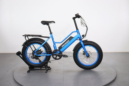 Pedego Element - UFU74