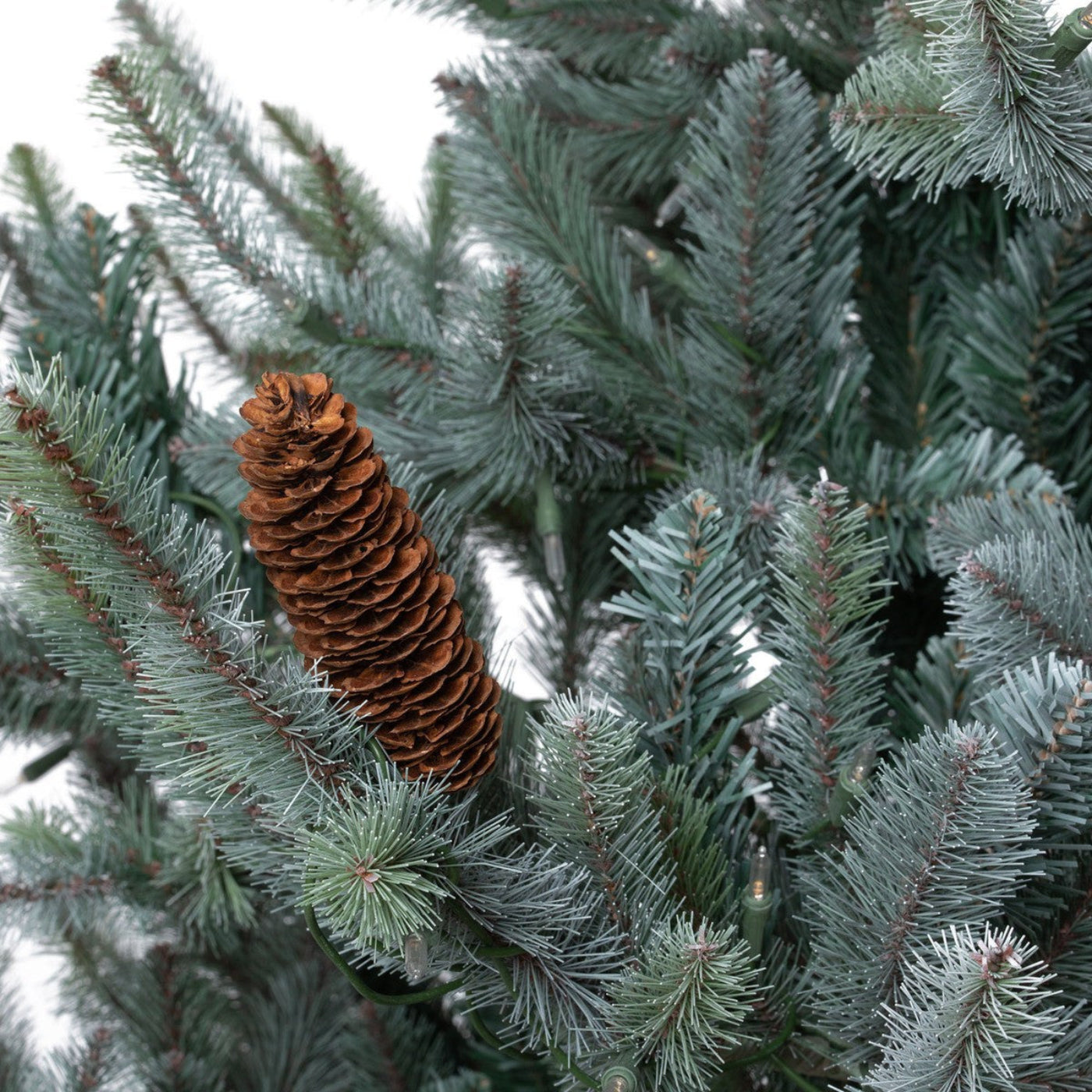 Park Hill Collection Tree Lot 7.5' Park Hill Blue Spruce LED Lights - XPQ82168