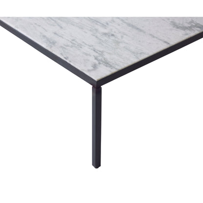 RenWil Yeva Square Coffee Table TA454 - TA454