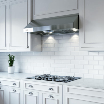 XO APPLIANCE XOT24SC 24" CCC 600/395 CFM Italian Made Pro Hood Range Hood in Stainless Steel