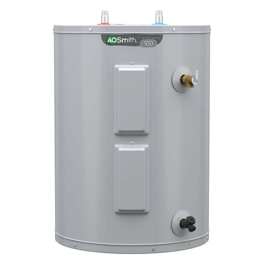 A.O. Smith  Signature 100 28-Gallon Lowboy 6-year Limited Warranty 4500-Watt Double Element Electric Water Heater - E6-30L45DVB
