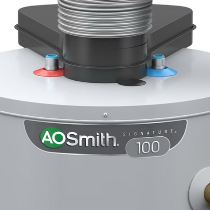 A.O. Smith Signature 100 40-Gallon Short 38000-BTU Direct Vent Natural Gas Water Heater - Item #853425 | Model #G6-DVS4038NV