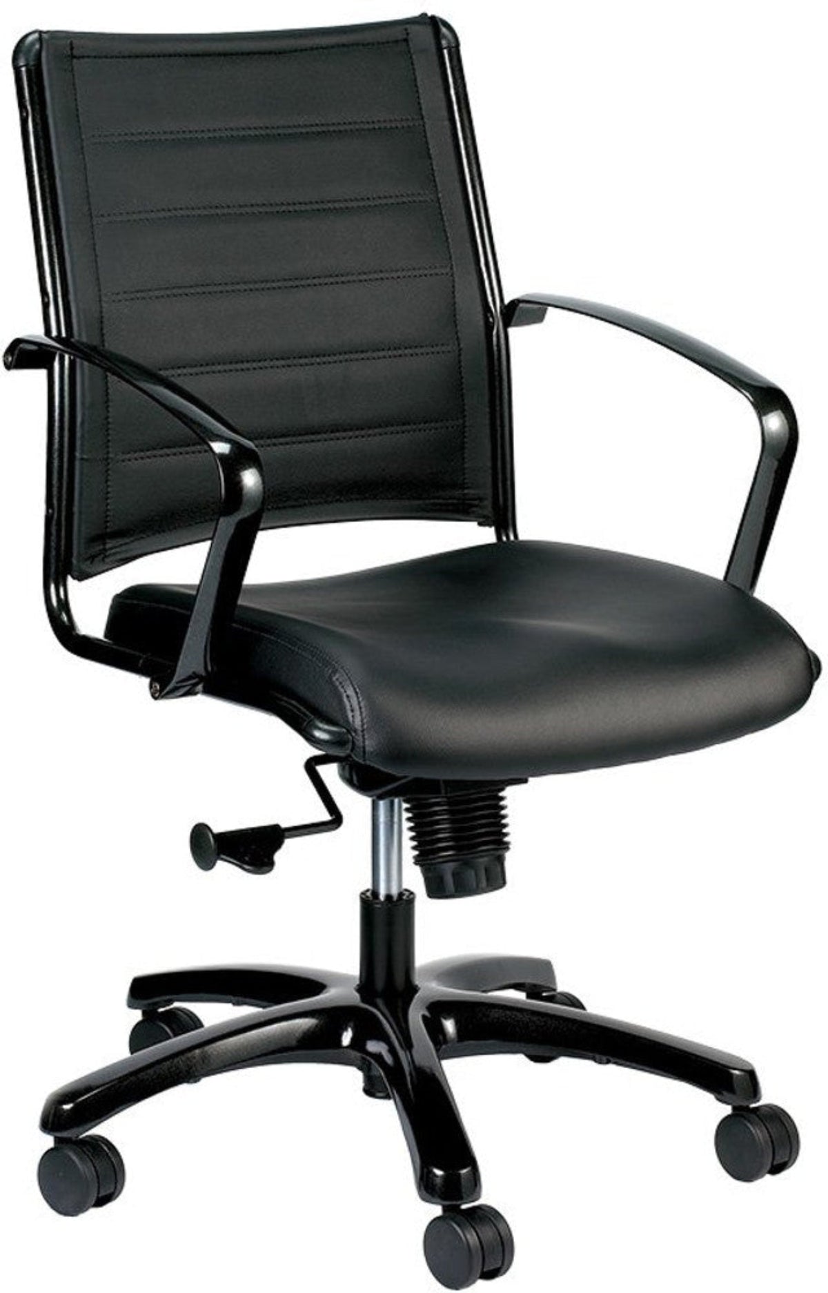 EuroTech Europa Metallic Leather Mid-Back Chair  - EUR-LE222TNM-BLKL