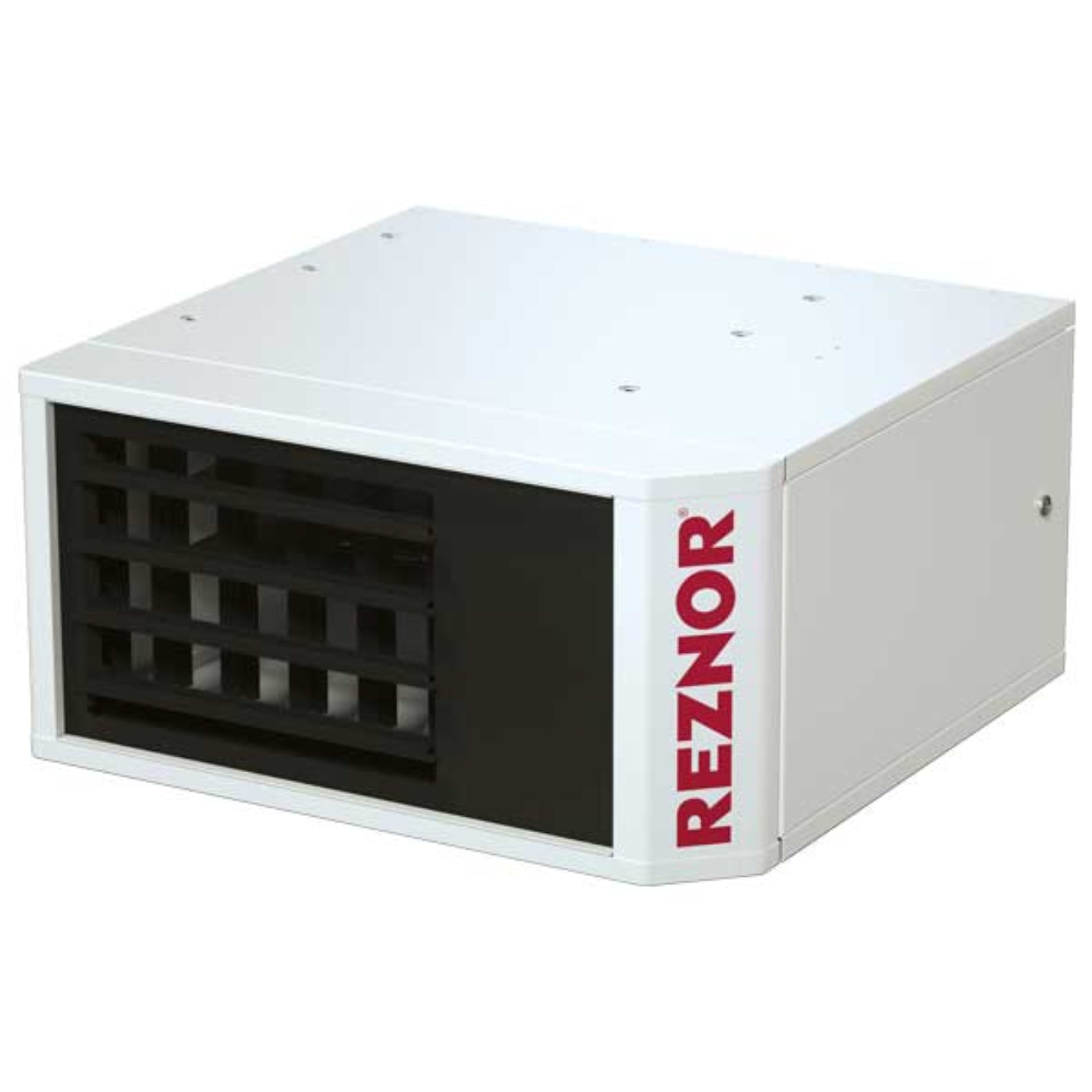 Reznor UDX 30,000 BTU Propane Unit Heater - NUDX30,N1036536R