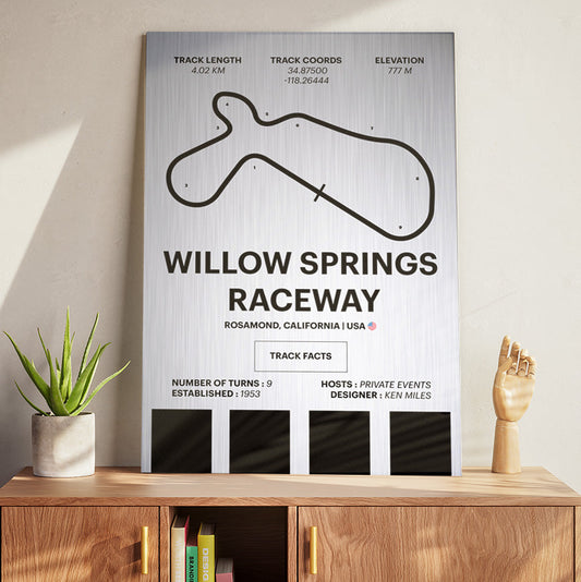 Willow Springs Raceway - Corsa Series - Raw Metal