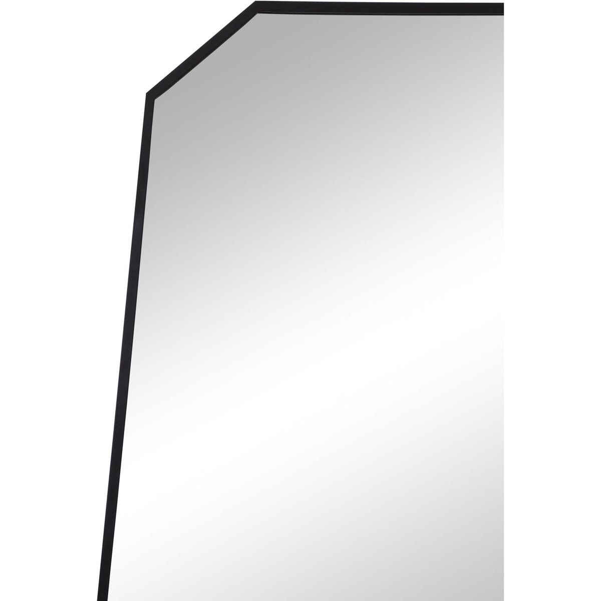 RenWil Pablo Irregular Mirror NDD221M040 - MT2436