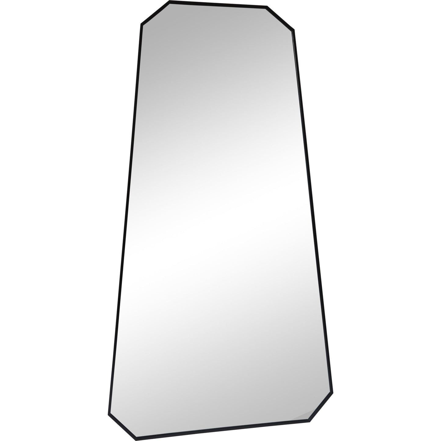 RenWil Pablo Irregular Mirror NDD221M040 - MT2436