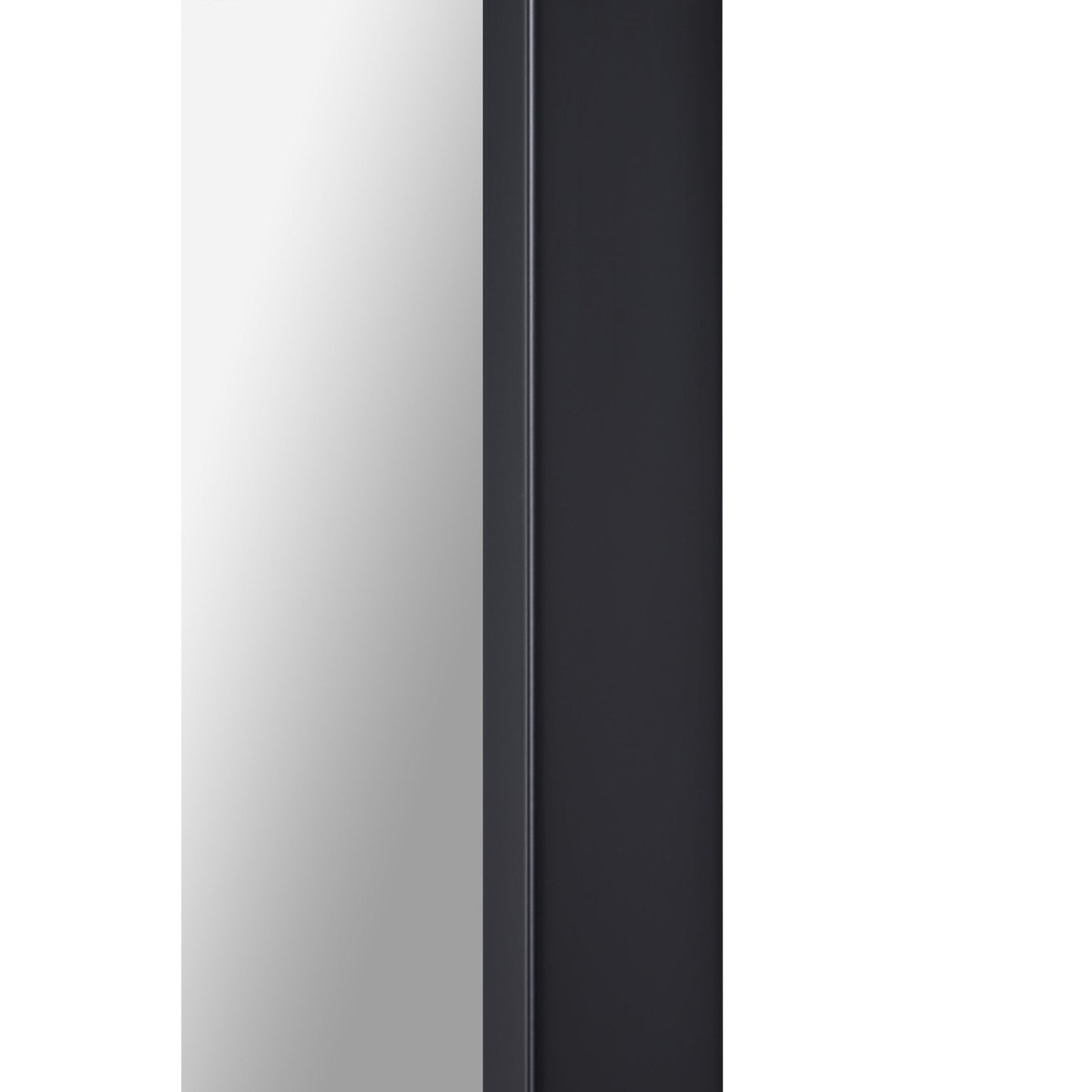 RenWil Keene Rectangular Mirror NDD22M010 - MT2499